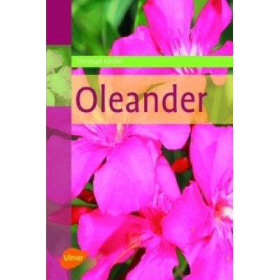 Oleander