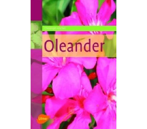 Oleander