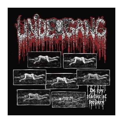 Undergang De Syv Stadier Af Fordaerv CD