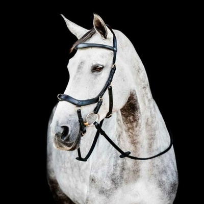 HORSEWARE Micklem Multi Bridle 2 černá /