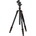Omegon Basic 250 BH