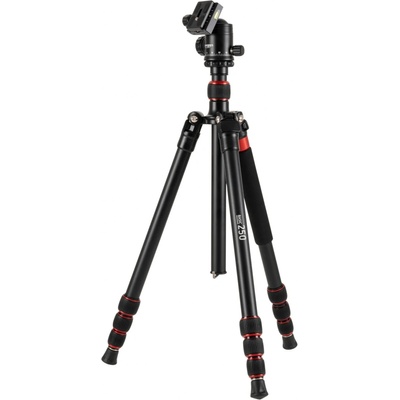 Omegon Basic 250 BH