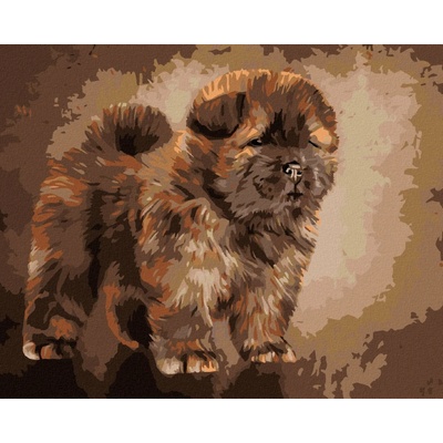 zuty Malování Podle Čísel Štěnátko Chow Chow 40 x 50 Cm Plátno Rám