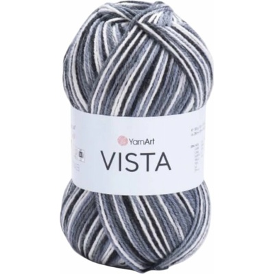 Vista 5301