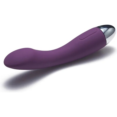 SVAKOM Amy G-Spot Vibrator Purple
