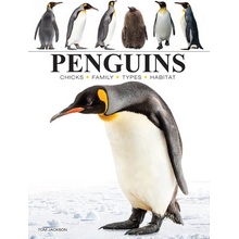 Penguins Jackson Tom