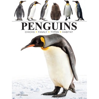 Penguins Jackson Tom