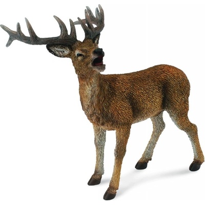 Collecta Jeleň Lesný