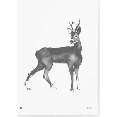 Teemu Järvi Plakát s motivem srnce Roe Deer 50x70