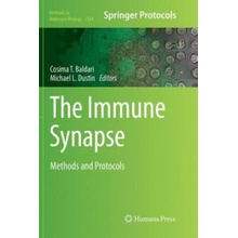 Immune Synapse