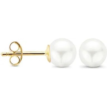 Blush Дамски златни обеци Blush 7150YPW (7150YPW)