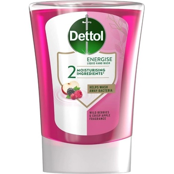 Dettol 250ml lesní plody