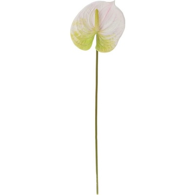 KS ANTÚRIA BIELO-ZELENÁ 63CM