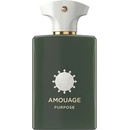 Amouage Purpose EDP 100 ml