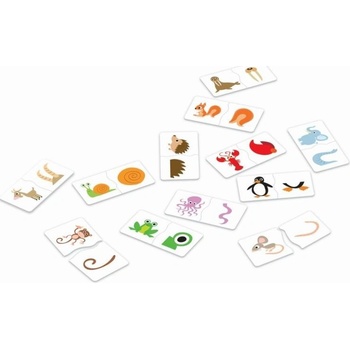 Alexnader Hra školou Zvieratká Súvislosti