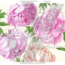 Pol Mak papírové ubrousky 33x33cm 3V 20ks Romantic Peonies SDOG 033901