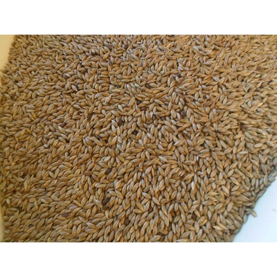 Avicentra Lesknica 25 kg