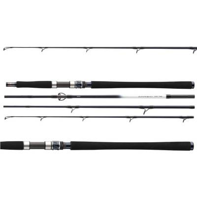 Daiwa Grandwave Travel 2,25 m 150-300 g 4 Diely