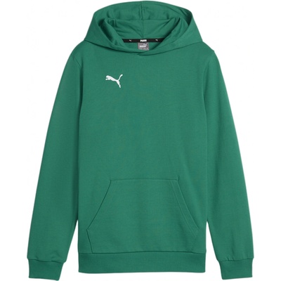 Puma teamGOAL Casuals Hoody Kids 658619-05