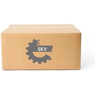 ESEN SKV 62SKV015 Katalyzátor