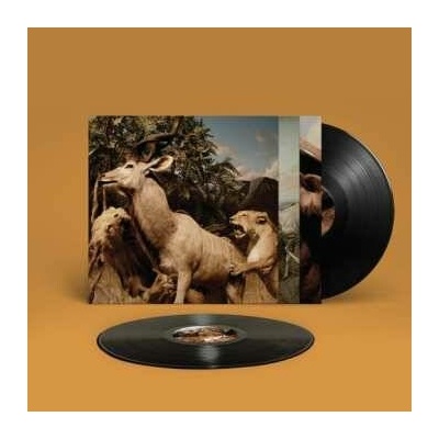 2 Interpol - Our Love to Admire LP