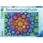 Ravensburger - Puzzle Rainbow mandalas 2000 - 2 000 piese