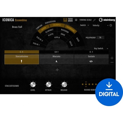 Steinberg Iconica Ensembles (Digitální produkt)