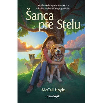 Šanca pre Stelu