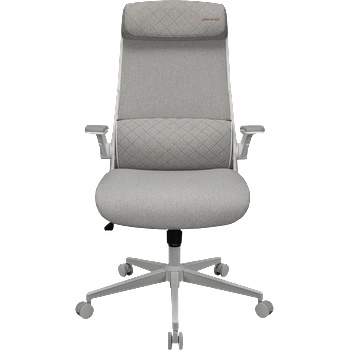 COUGAR Stryder White Gaming Chair (CGR-STD-ASW)