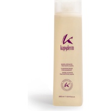 Kapyderm šampon proti lupům 250 ml