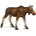Safari Ltd Safari® Женски лос (S180829)