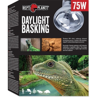 Repti Planet Daylight Basking Spot 75 W 007-41003 – Zbozi.Blesk.cz