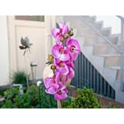 Orchidej větvička fialová, 100 cm