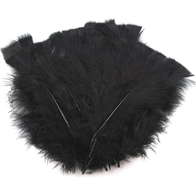 Krůtí peří délka 11-17 cm černá