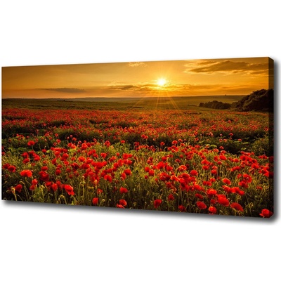 Foto obraz na plátne Pole makov 100x50 cm