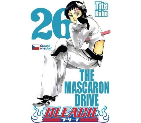 Bleach 26