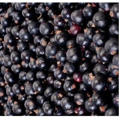 NEGOCIO Rybíz černý mražený za 1kg (1bal 10 kg ) 1bal v kartonu – Zboží Dáma