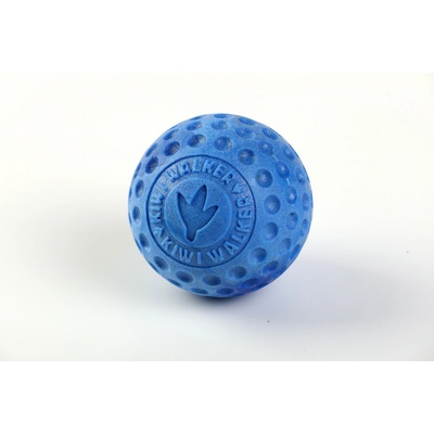 Kiwi Walker pro psa plovací míček z TPR pěny 6 cm