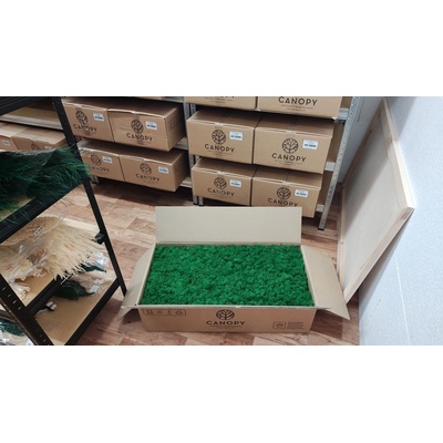 Stabilizovaný mach – sobí - lišajník – Reindeer moss - zelený - celé balenie 5kg