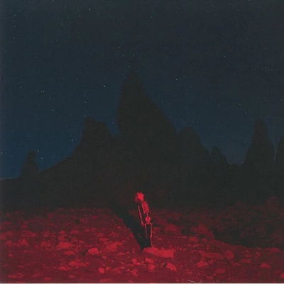 Pheobe Bridgers - Punisher (LP) (0656605150017)