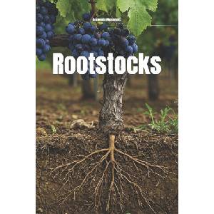 Rootstocks | Bernardo Musumeci (2025)