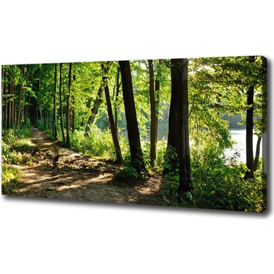 Foto obraz na plátne Chodník na lúke 100x50 cm