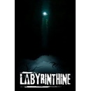 Labyrinthine