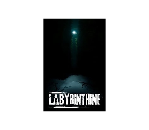 Labyrinthine