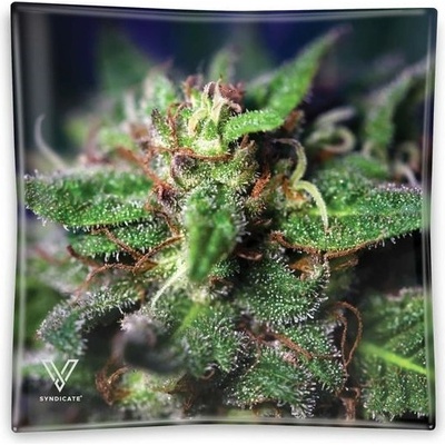 V-Syndicate Skleněný popelník Blue Dream