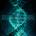 Disturbed - Evolution LP