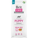 Brit Grain-free Puppy Salmon & Potato - със сьомга, за кучета от 1 до 12 месеца 3 кг