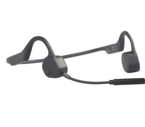 Visixa Bone 10HF