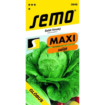 ŠALÁT HLÁVKOVÝ rímsky Glóbus maxi