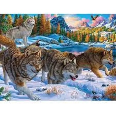 Господари /50 см